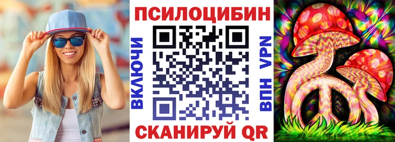 Псилоцибиновые грибы MAGIC MUSHROOMS  где купить наркоту  Кашин 
