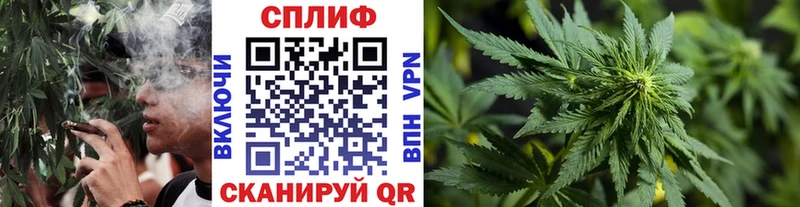 Бошки Шишки индика  это формула  Кашин 